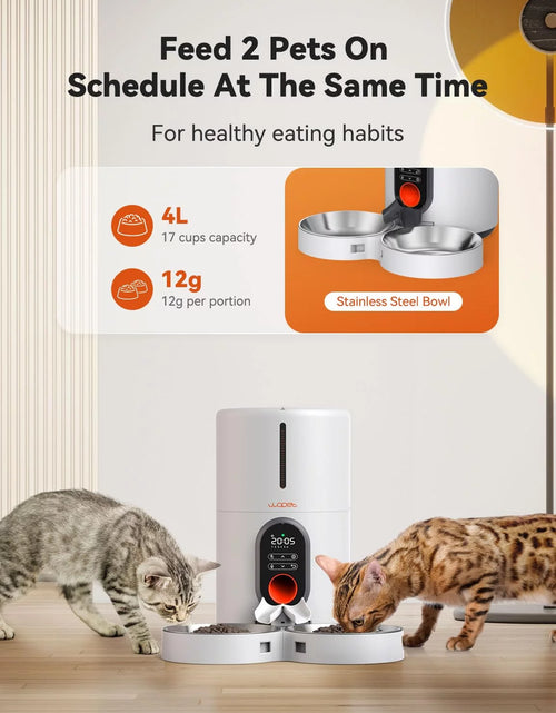 Load image into Gallery viewer, Automatic Cat Feeders for 2 Cats - Timed Dog Food Dispenser with Splitter and Two Stainless Bowls, Cat Feeders 10S Meal Call, 6 Meals per Day for Cats &amp; Small Dogs, Black
