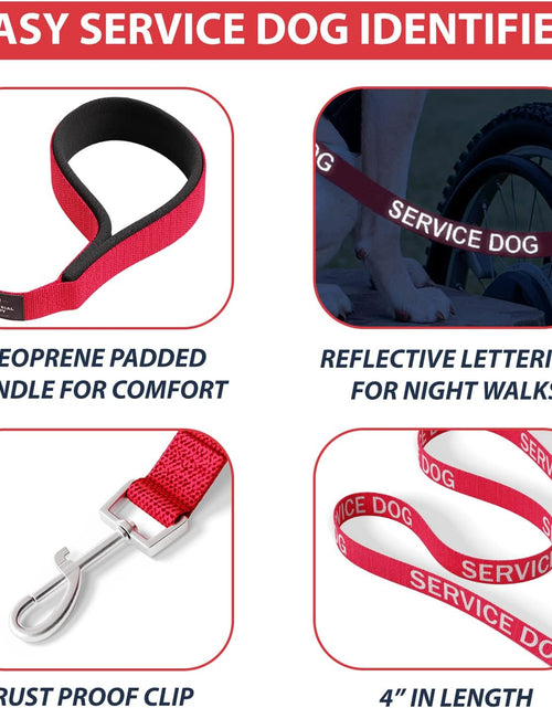 Load image into Gallery viewer, Service Dog Vest with Hook and Loop Straps &amp; Matching Service Dog Leash Set - Harnesses from XXS to XXL - Service Dog Harness Features Reflective Patch and Comfortable Mesh Design
